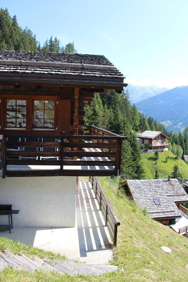Вилла Chalet Amos Грименц Экстерьер фото